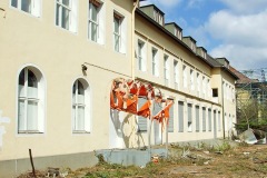 Säuglingshaus, Sicht Richtung Anton-Antweiler-Strasse, Abriss 2010